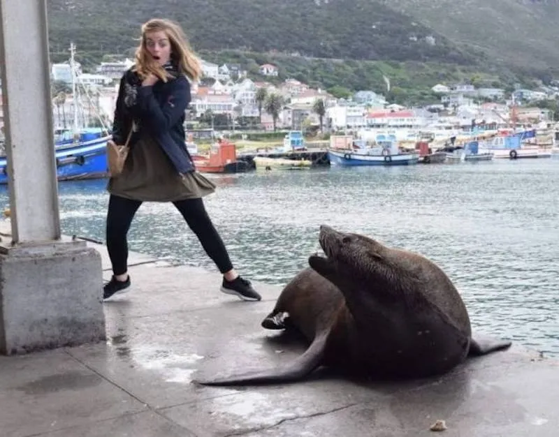 Gewoon een verzameling hilarische foto's #2063