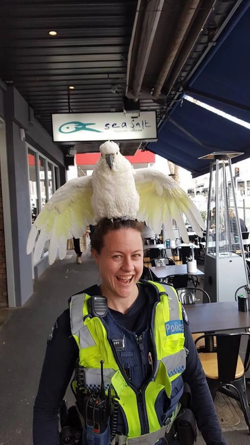 Gewoon een verzameling hilarische foto's #2065