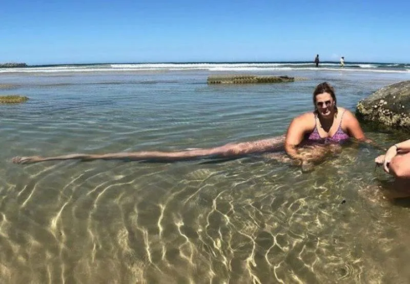 Gewoon een verzameling hilarische foto's #2065