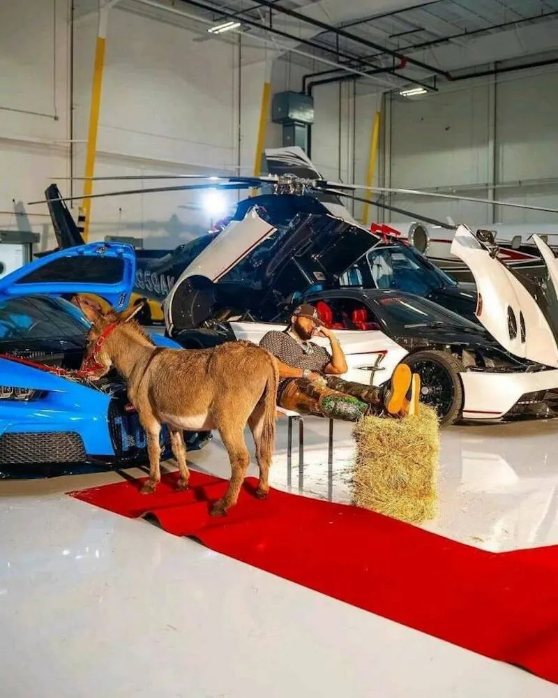 Gewoon een verzameling hilarische foto's #2062