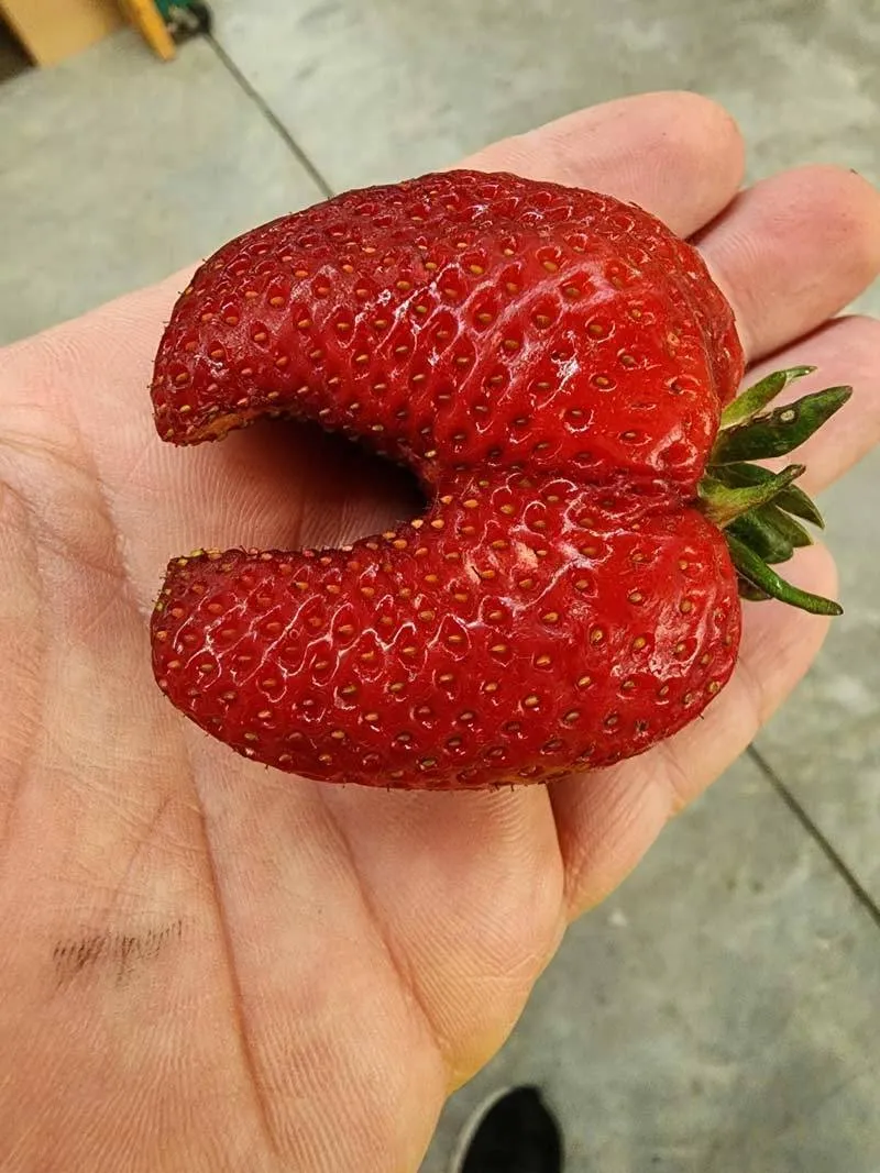Gewoon een verzameling hilarische foto's #2065