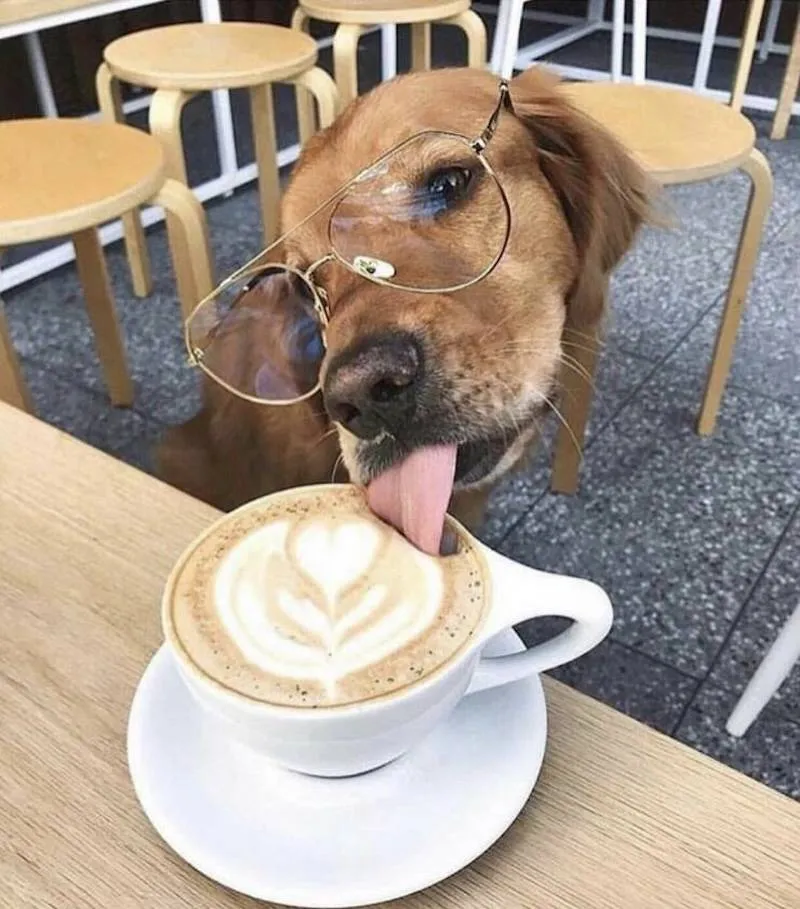 Gewoon een verzameling hilarische foto's #2062