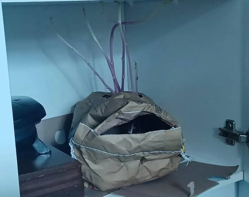 Gewoon een verzameling hilarische foto's #2062