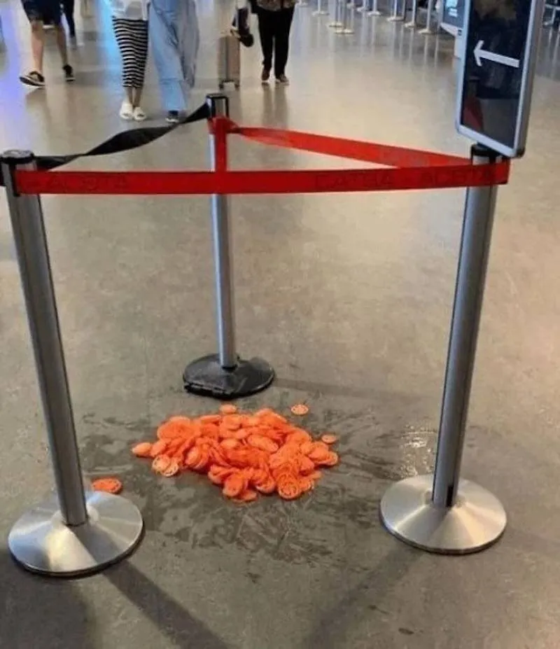 Gewoon een verzameling hilarische foto's #2062