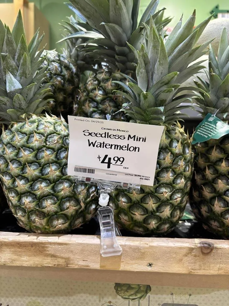 Gewoon een verzameling hilarische foto's #2063