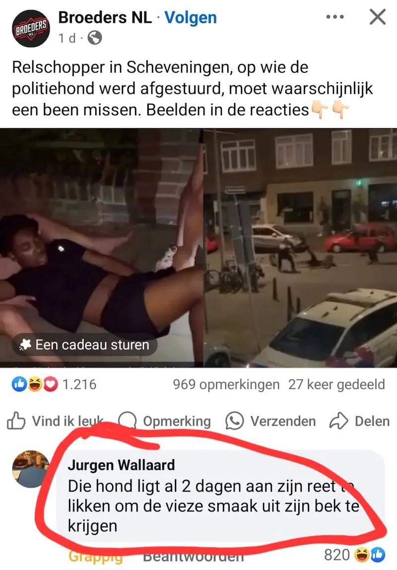 Gewoon een verzameling hilarische foto's #2065