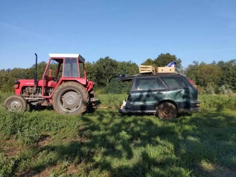 Gewoon een verzameling hilarische foto's #2064