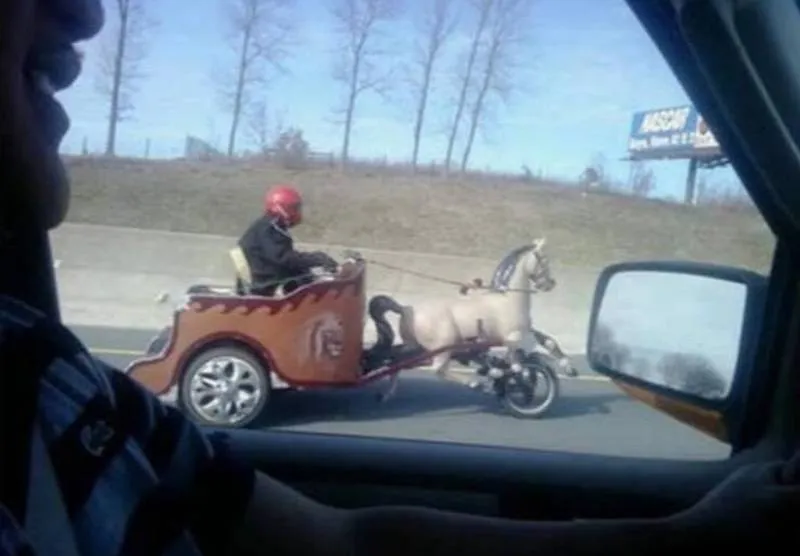 Gewoon een verzameling hilarische foto's #2064