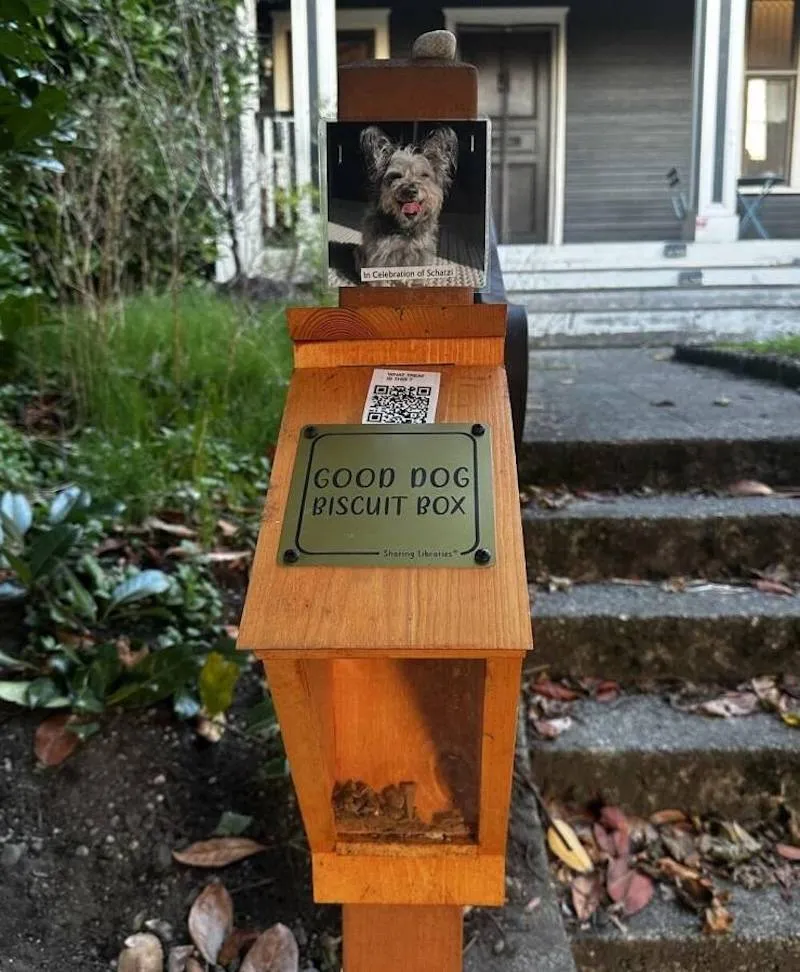 Gewoon een verzameling hilarische foto's #2064