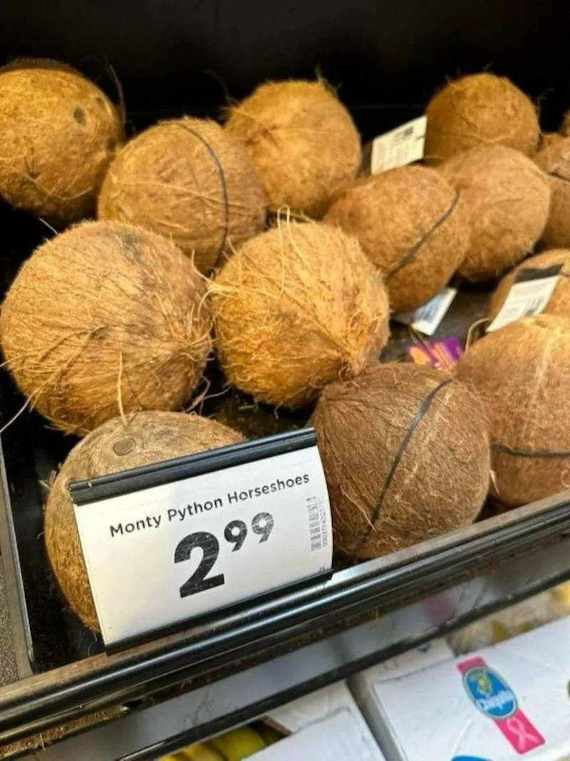 Gewoon een verzameling hilarische foto's #2064