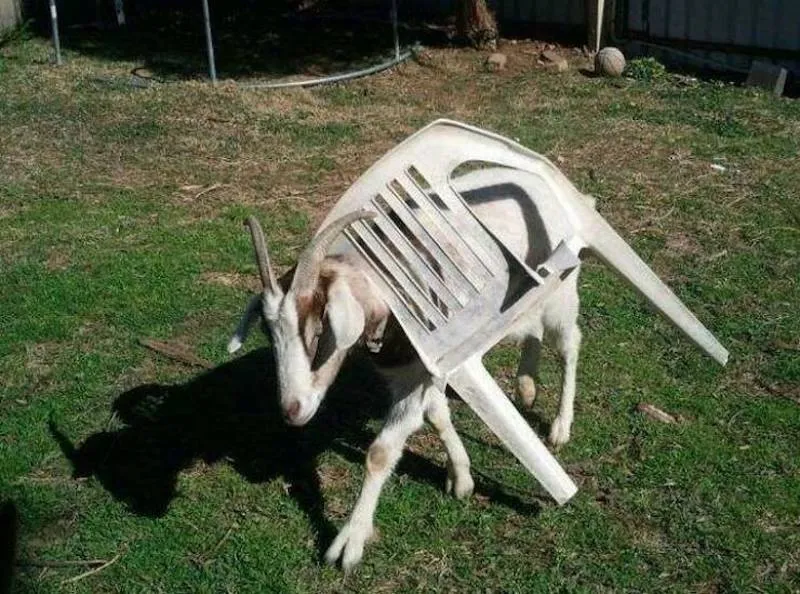 Gewoon een verzameling hilarische foto's #2064