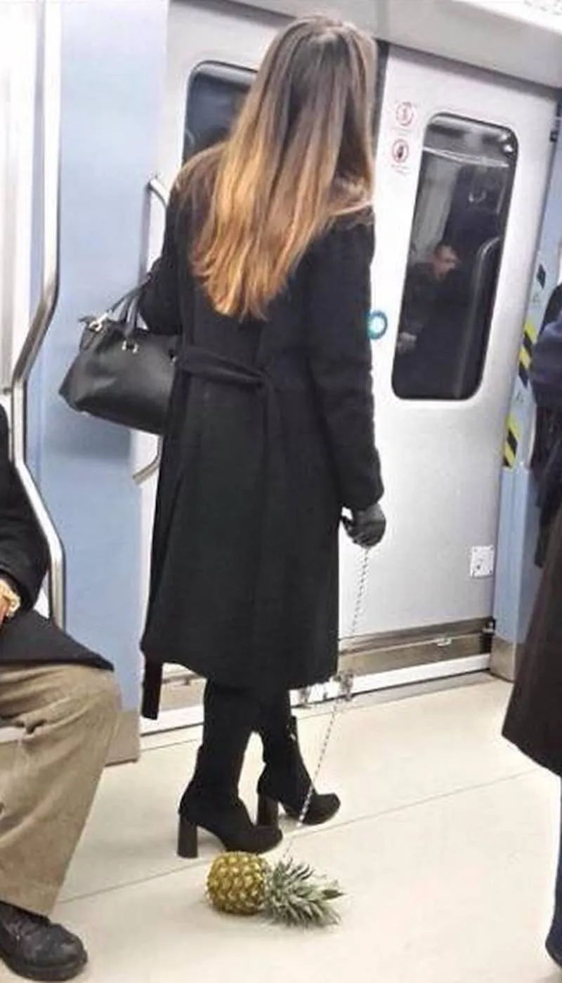 Gewoon een verzameling hilarische foto's #2064