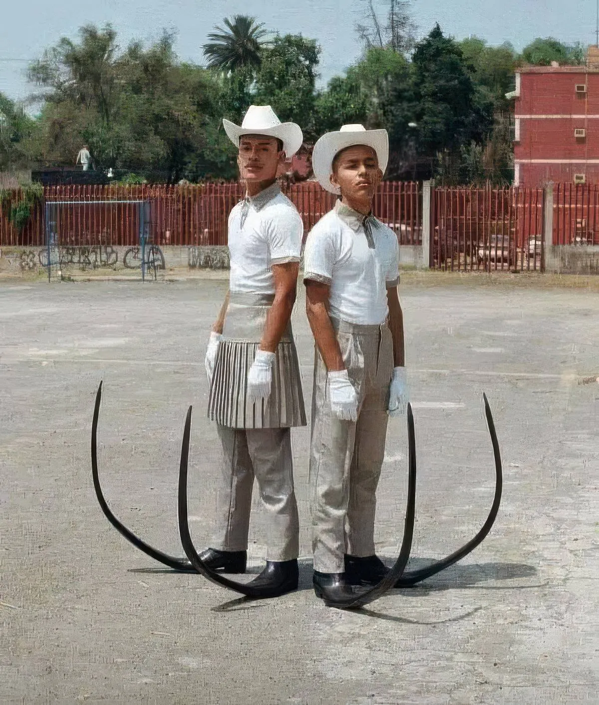 Gewoon een verzameling hilarische foto's #2066