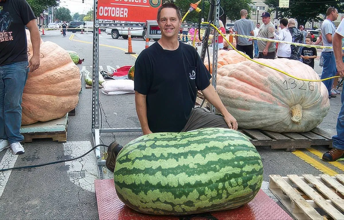 Gewoon een verzameling hilarische foto's #2066
