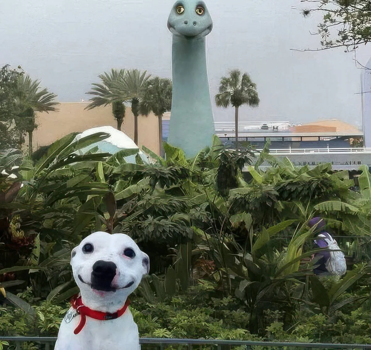 Gewoon een verzameling hilarische foto's #2066