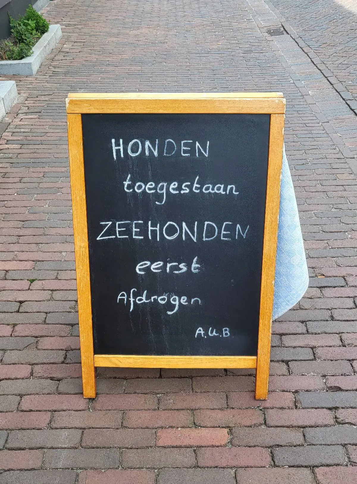 Gewoon een verzameling hilarische foto's #2066