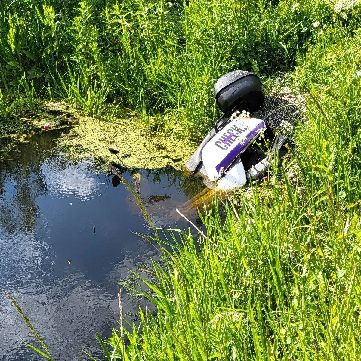 Gewoon een verzameling hilarische foto's #2066