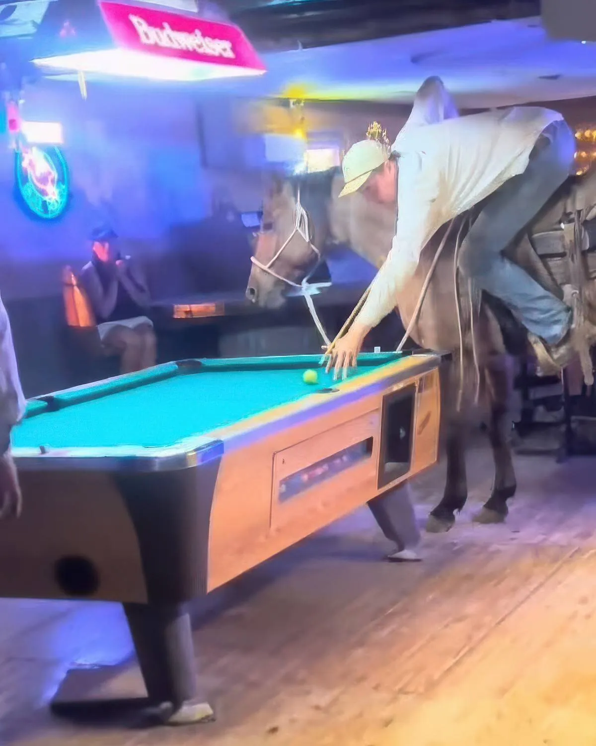 Gewoon een verzameling hilarische foto's #2067