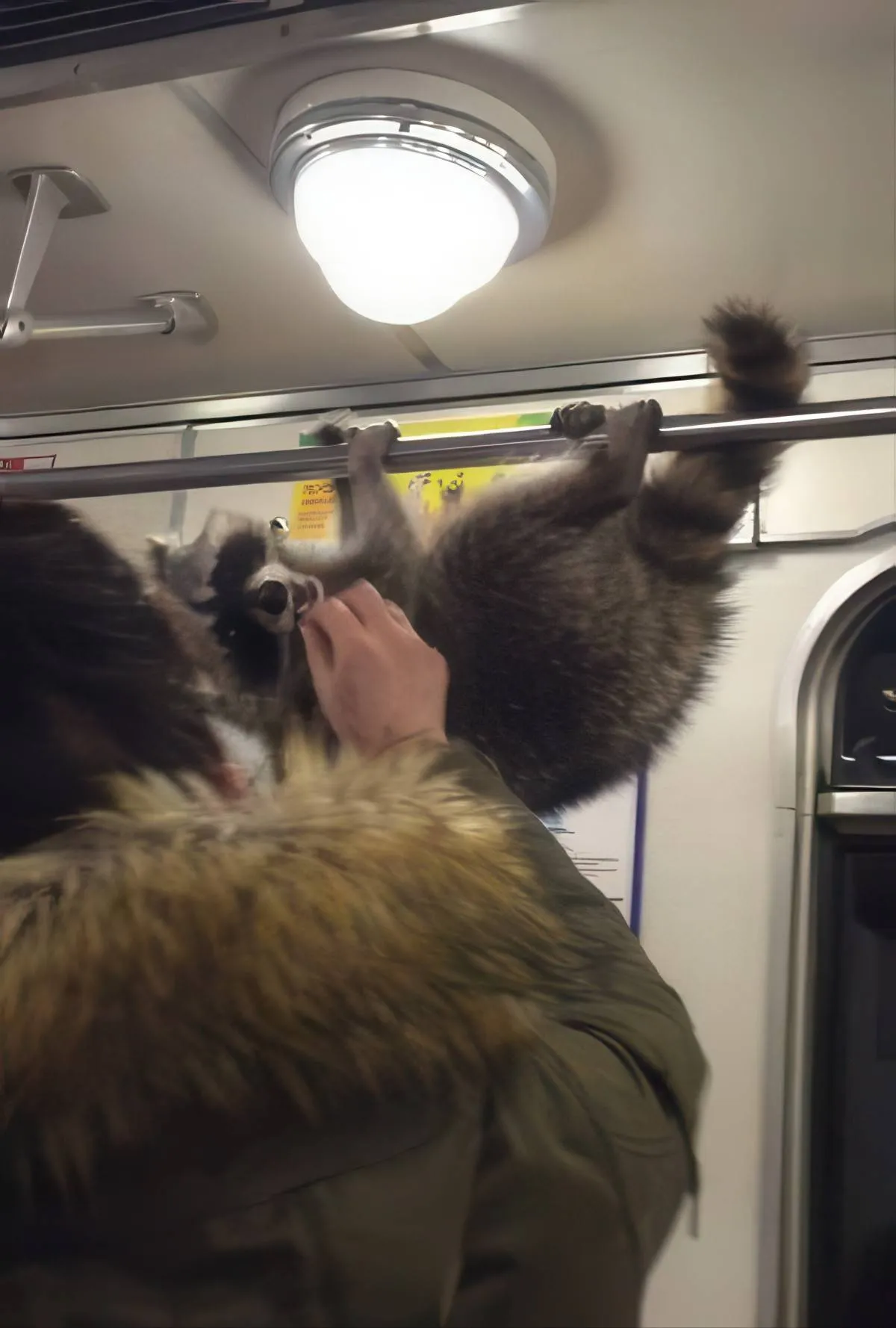 Gewoon een verzameling hilarische foto's #2068