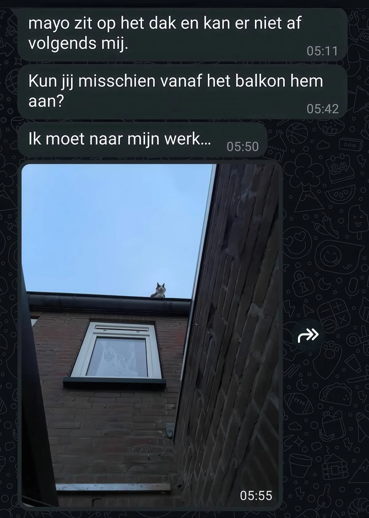 Gewoon een verzameling hilarische foto's #2068
