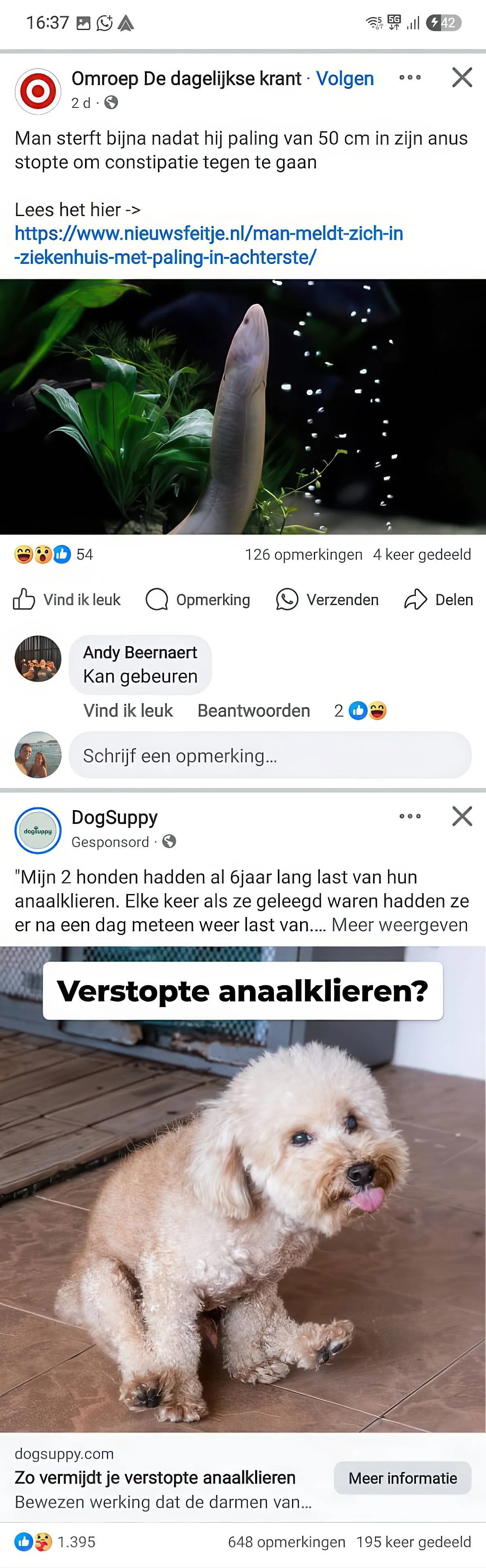 Gewoon een verzameling hilarische foto's #2068