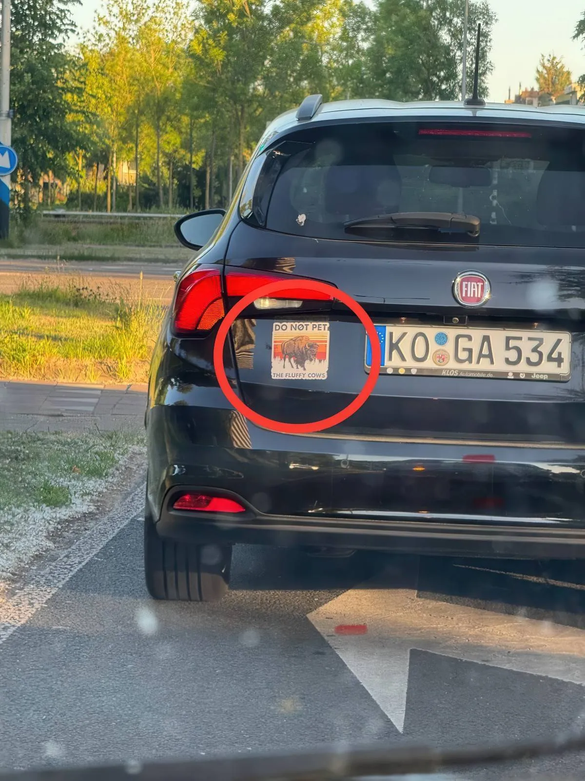 Gewoon een verzameling hilarische foto's #2068