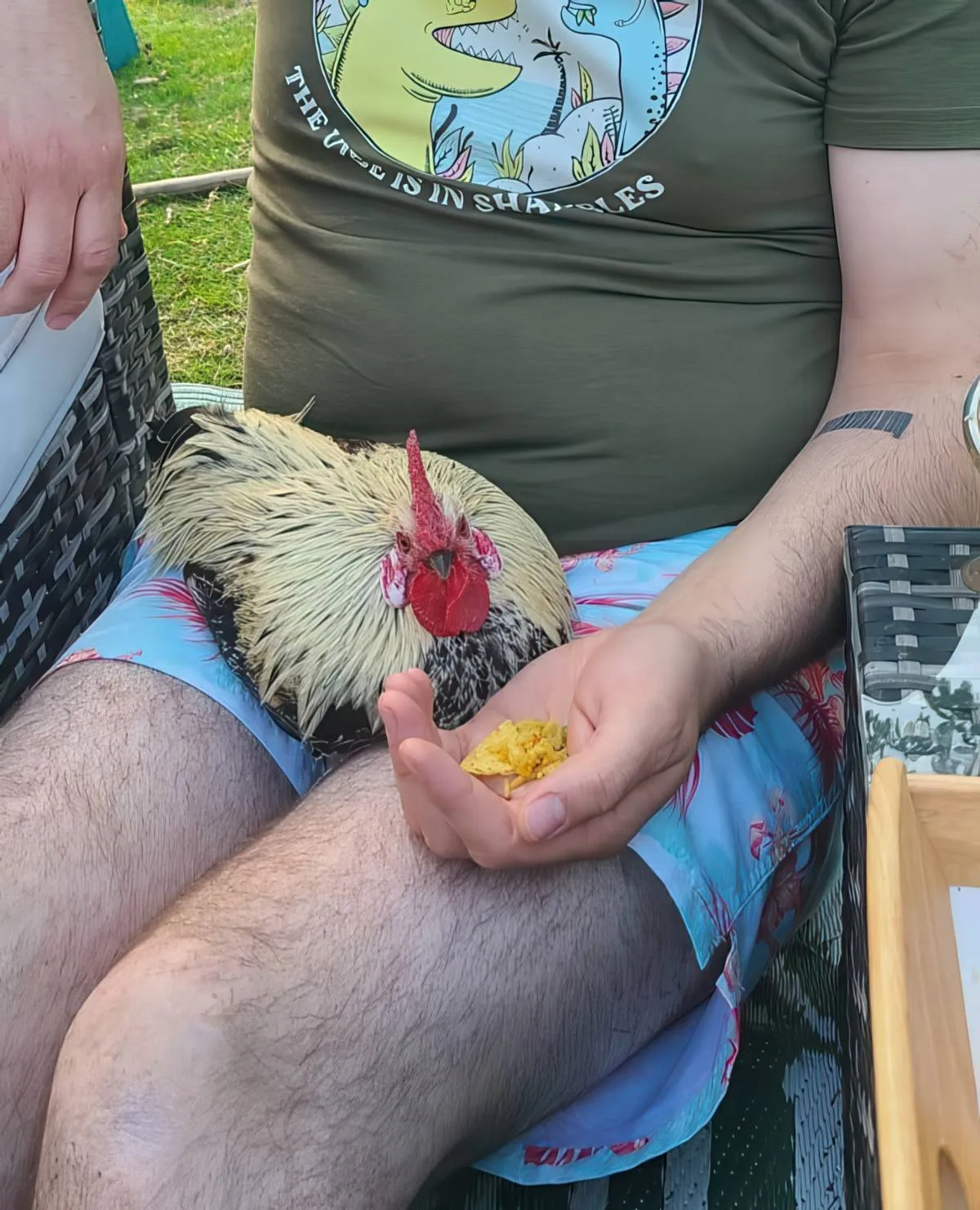 Gewoon een verzameling hilarische foto's #2068