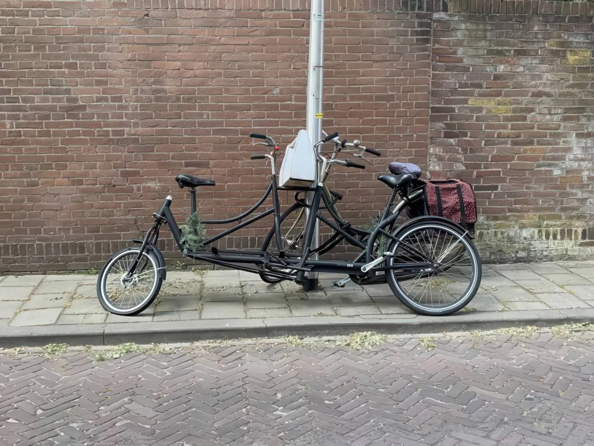 Gewoon een verzameling hilarische foto's #2070