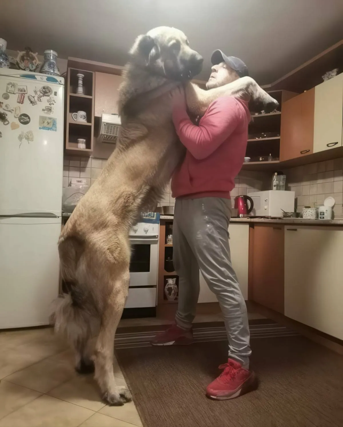 Gewoon een verzameling hilarische foto's #2070