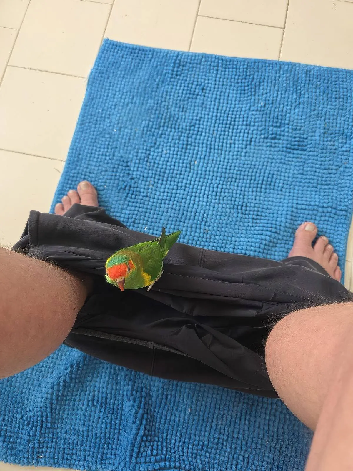 Gewoon een verzameling hilarische foto's #2070