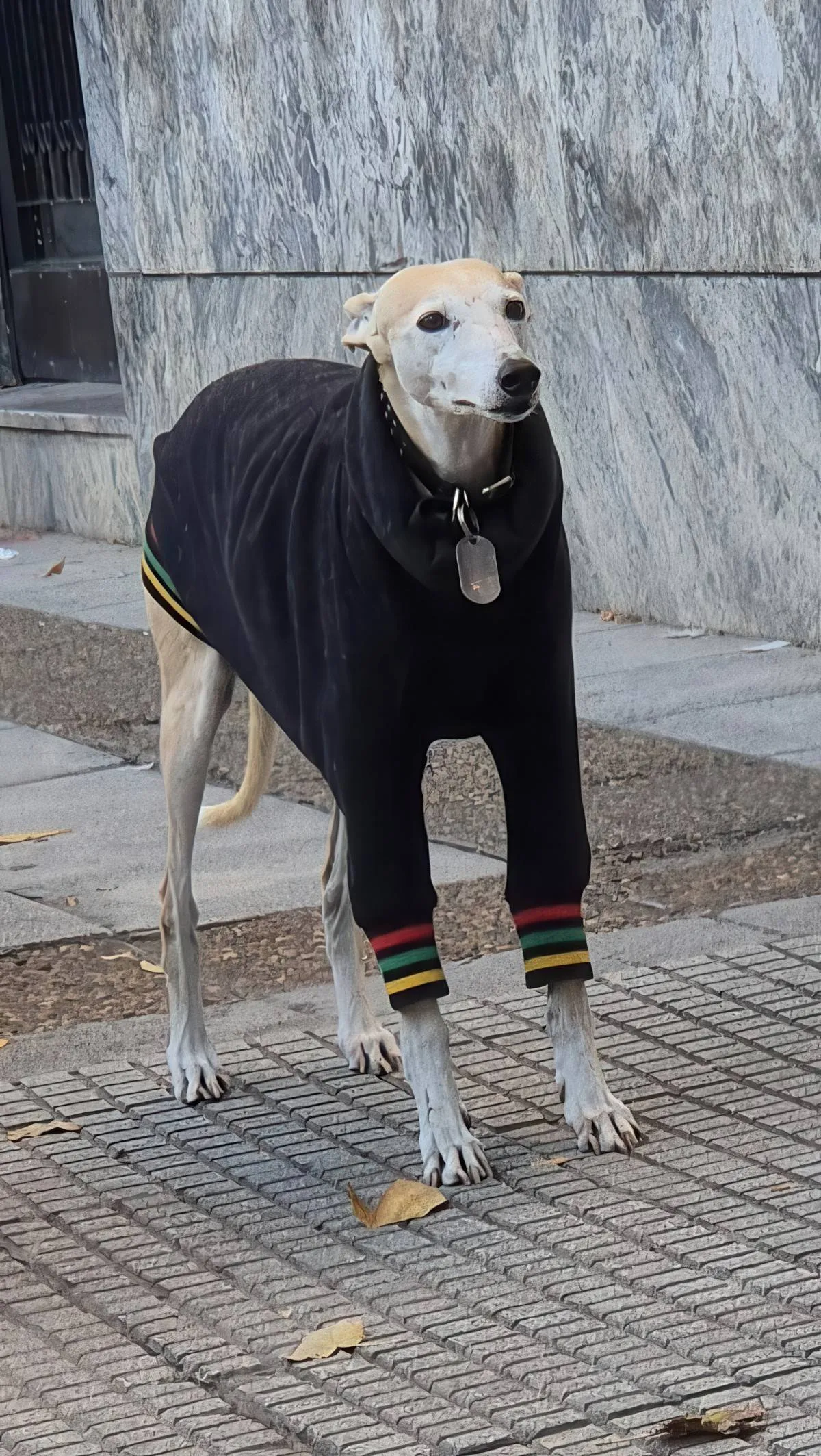 Gewoon een verzameling hilarische foto's #2071
