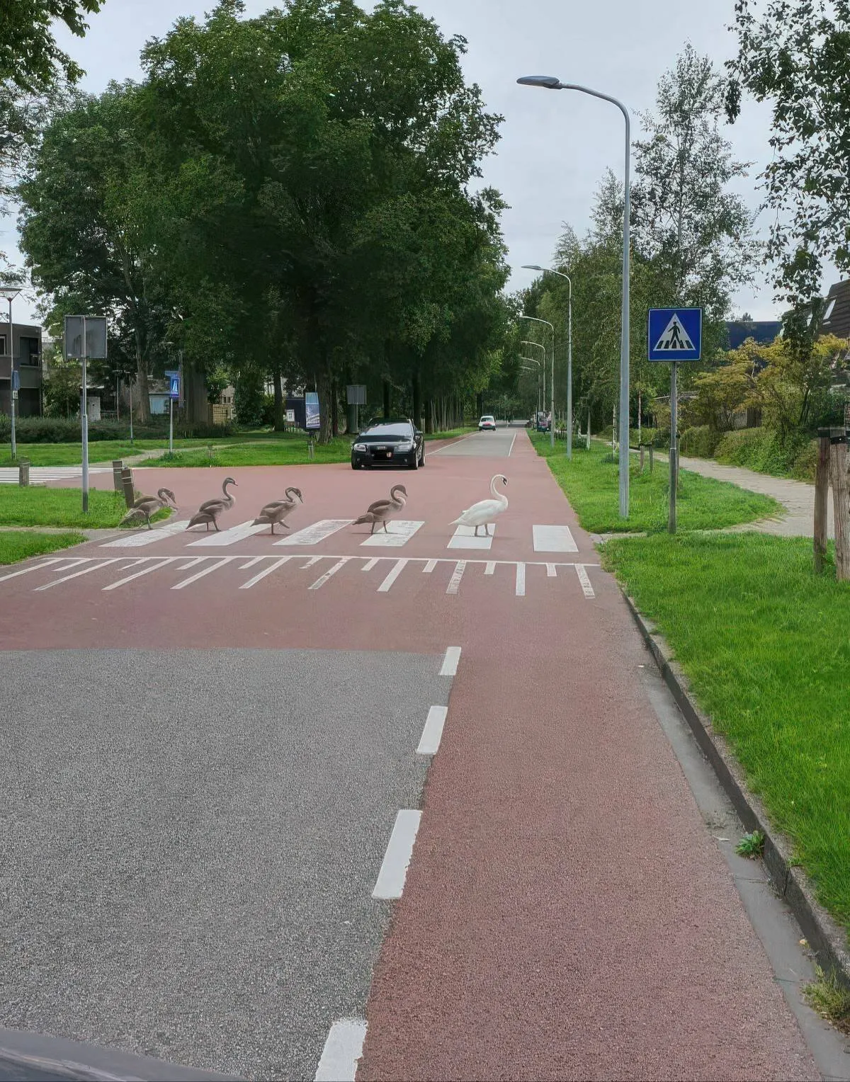 Gewoon een verzameling hilarische foto's #2072
