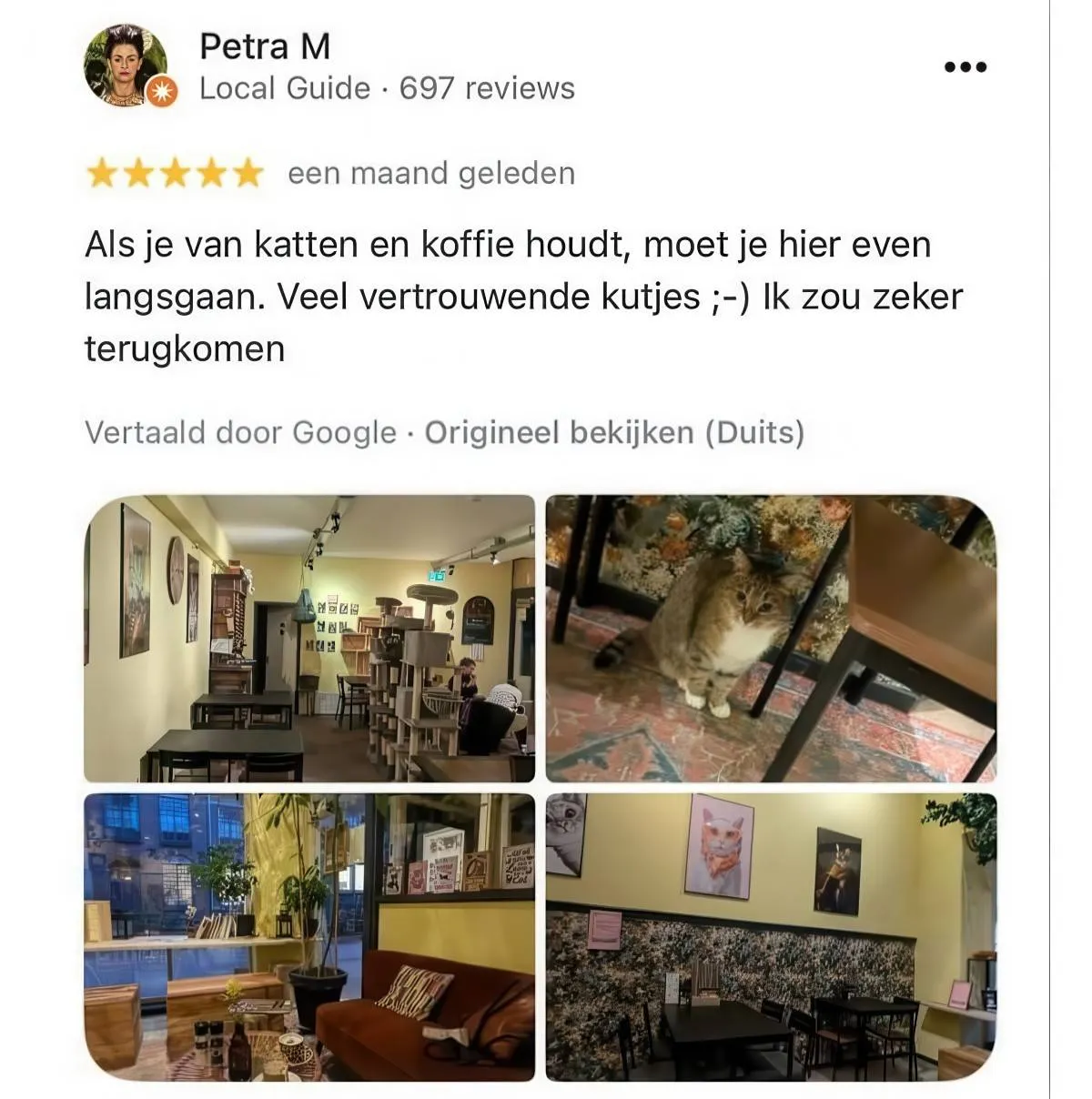 Gewoon een verzameling hilarische foto's #2072