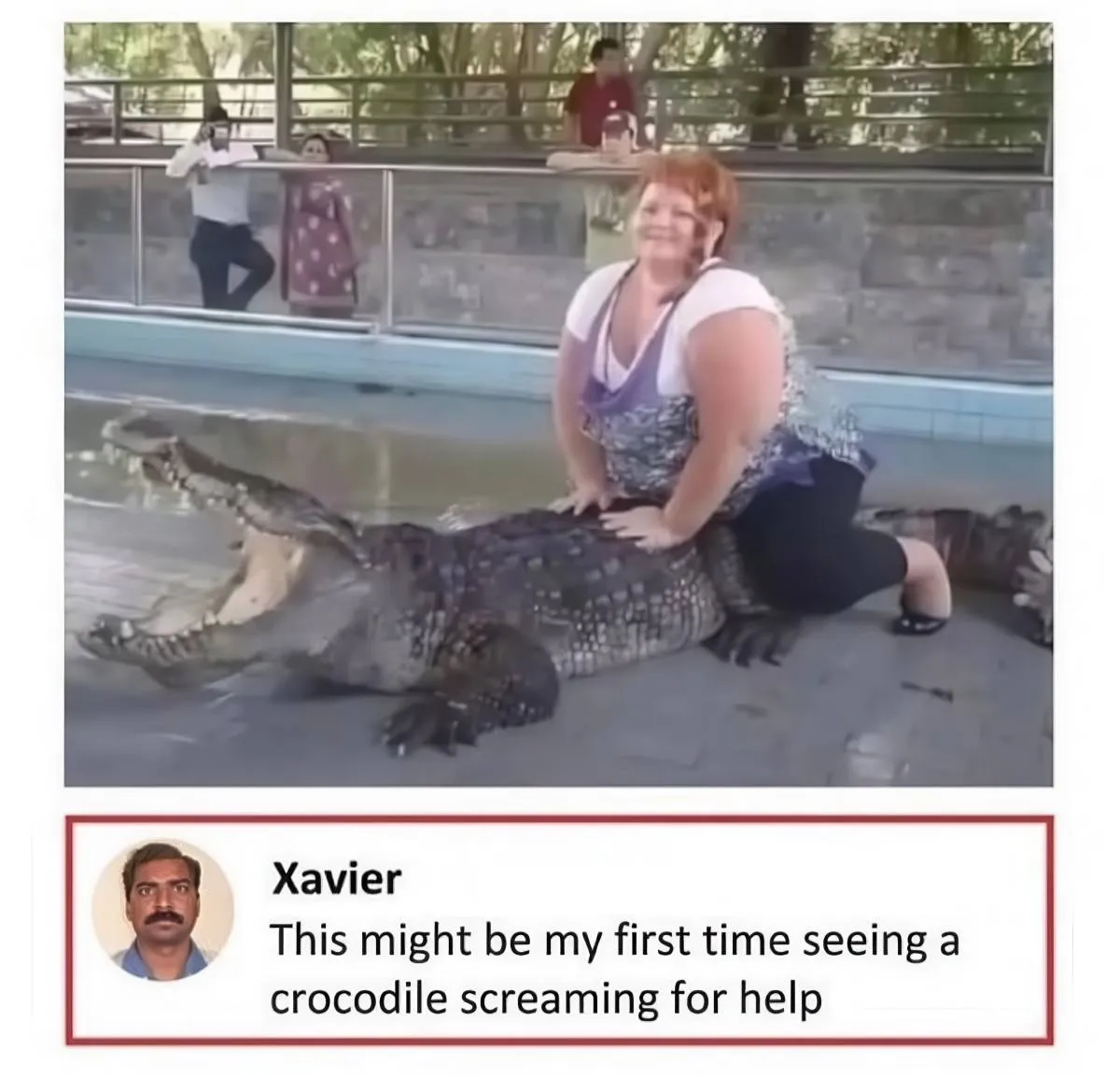 Gewoon een verzameling hilarische foto's #2072