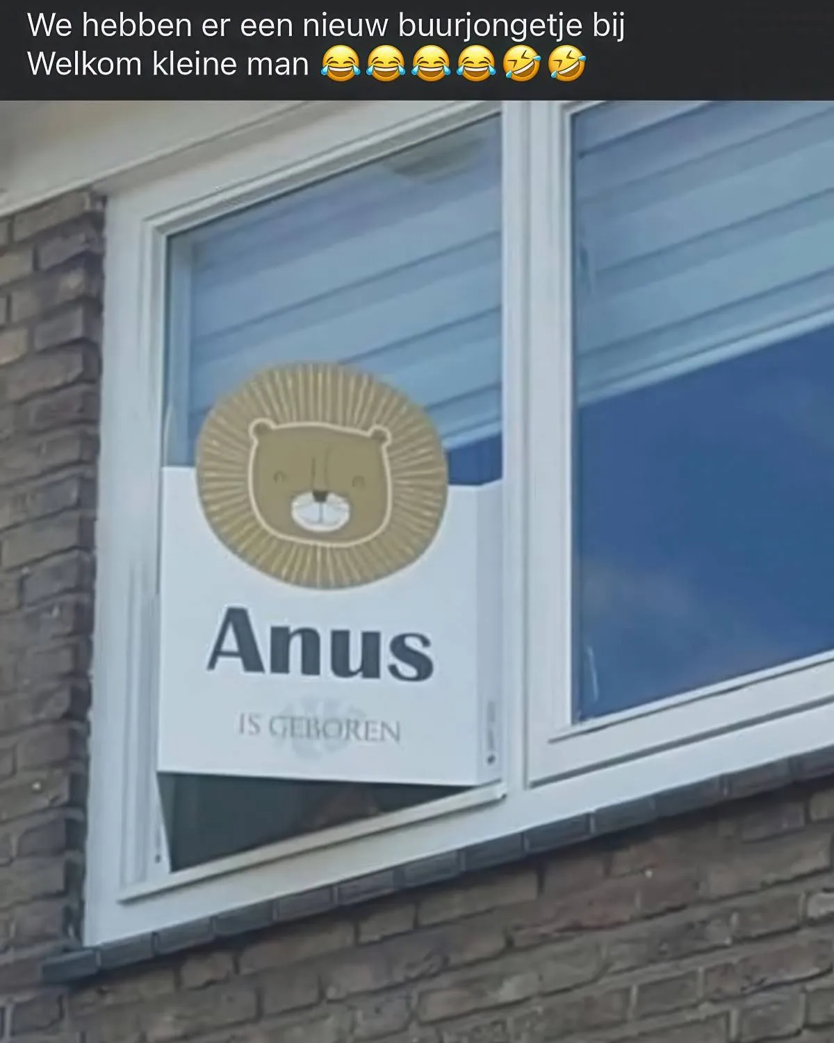 Gewoon een verzameling hilarische foto's #2072