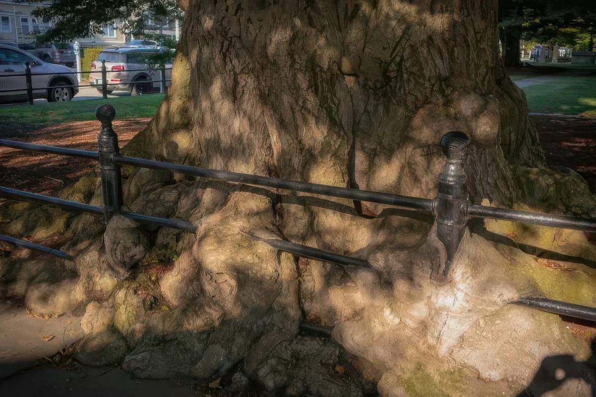 Gewoon een verzameling hilarische foto's #2073