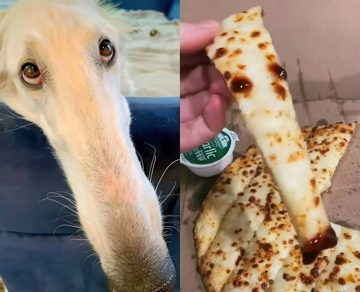 Gewoon een verzameling hilarische foto's #2073