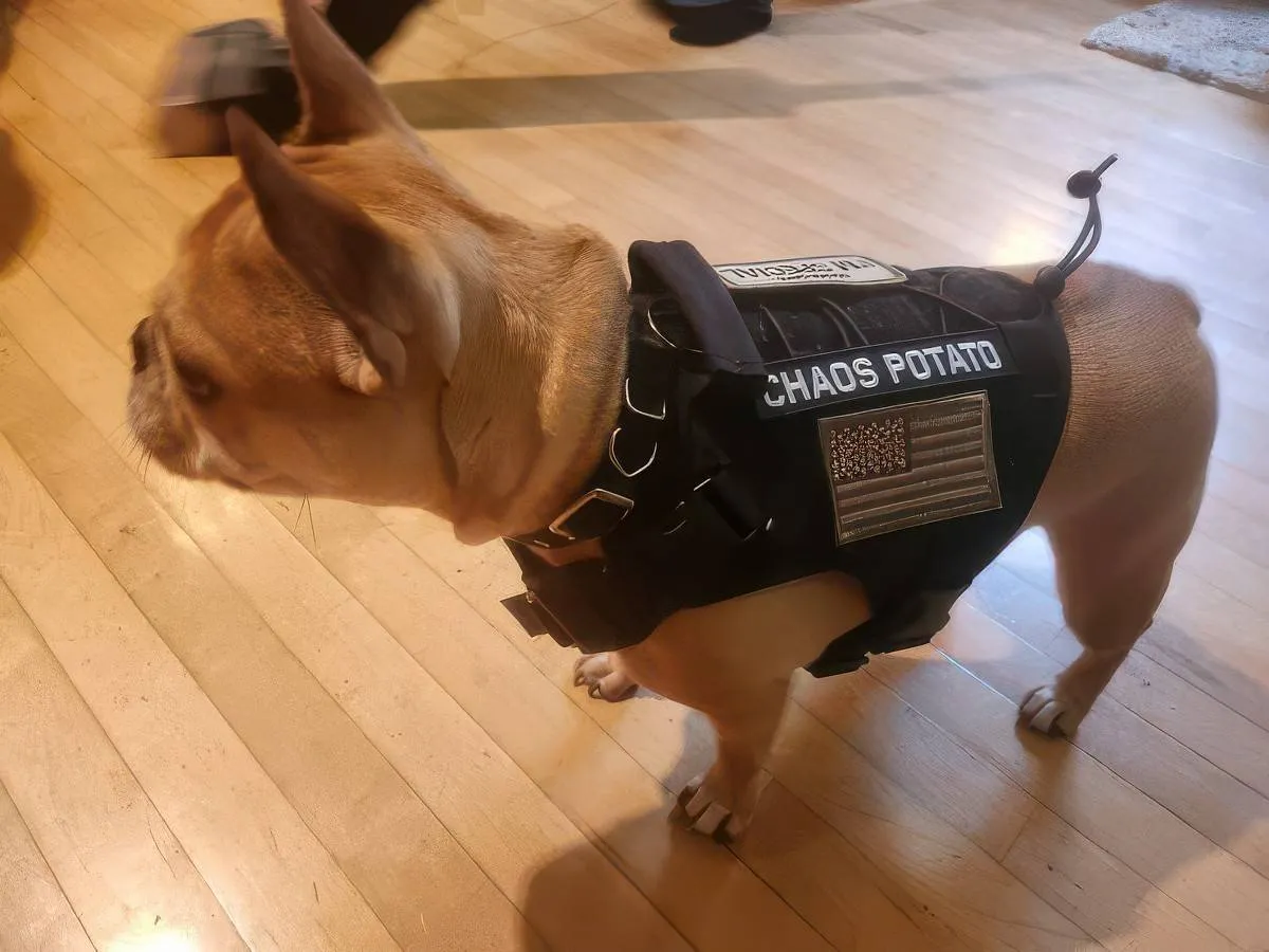 Gewoon een verzameling hilarische foto's #2073