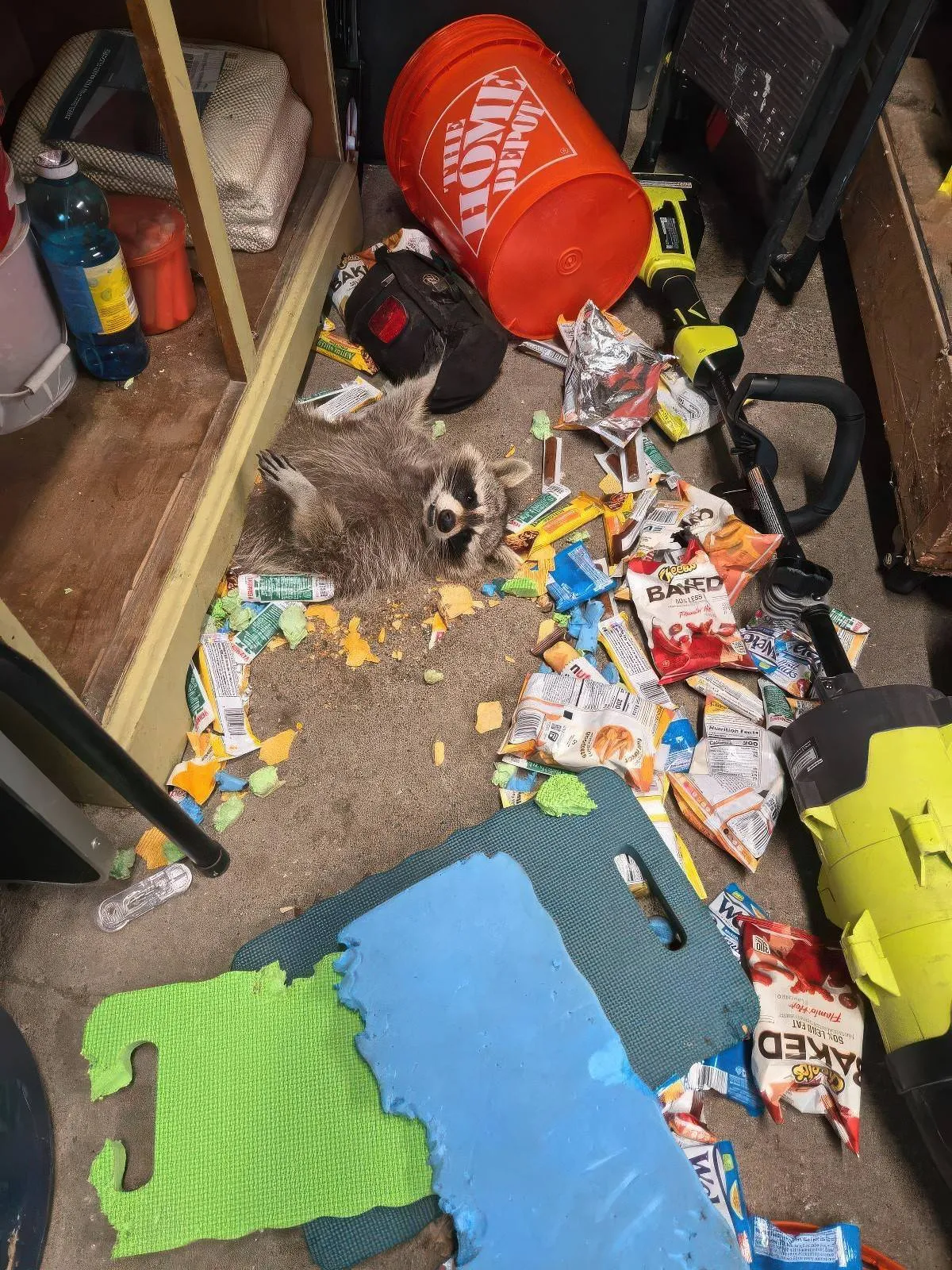 Gewoon een verzameling hilarische foto's #2073