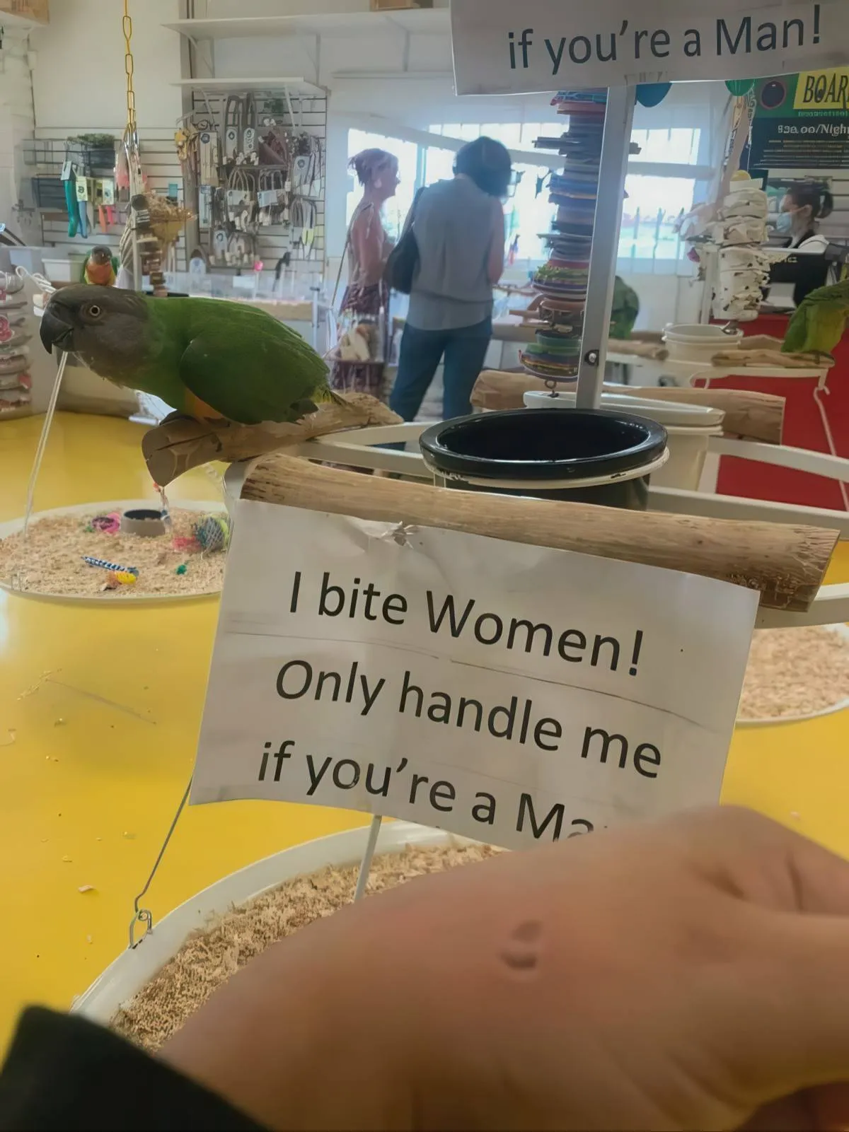 Gewoon een verzameling hilarische foto's #2074