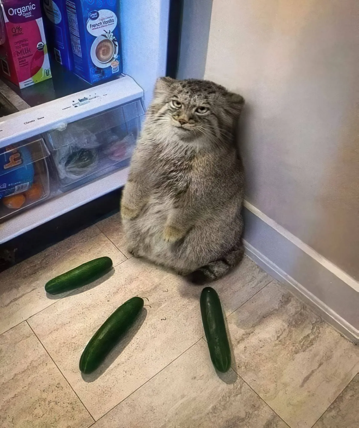 Gewoon een verzameling hilarische foto's #2074