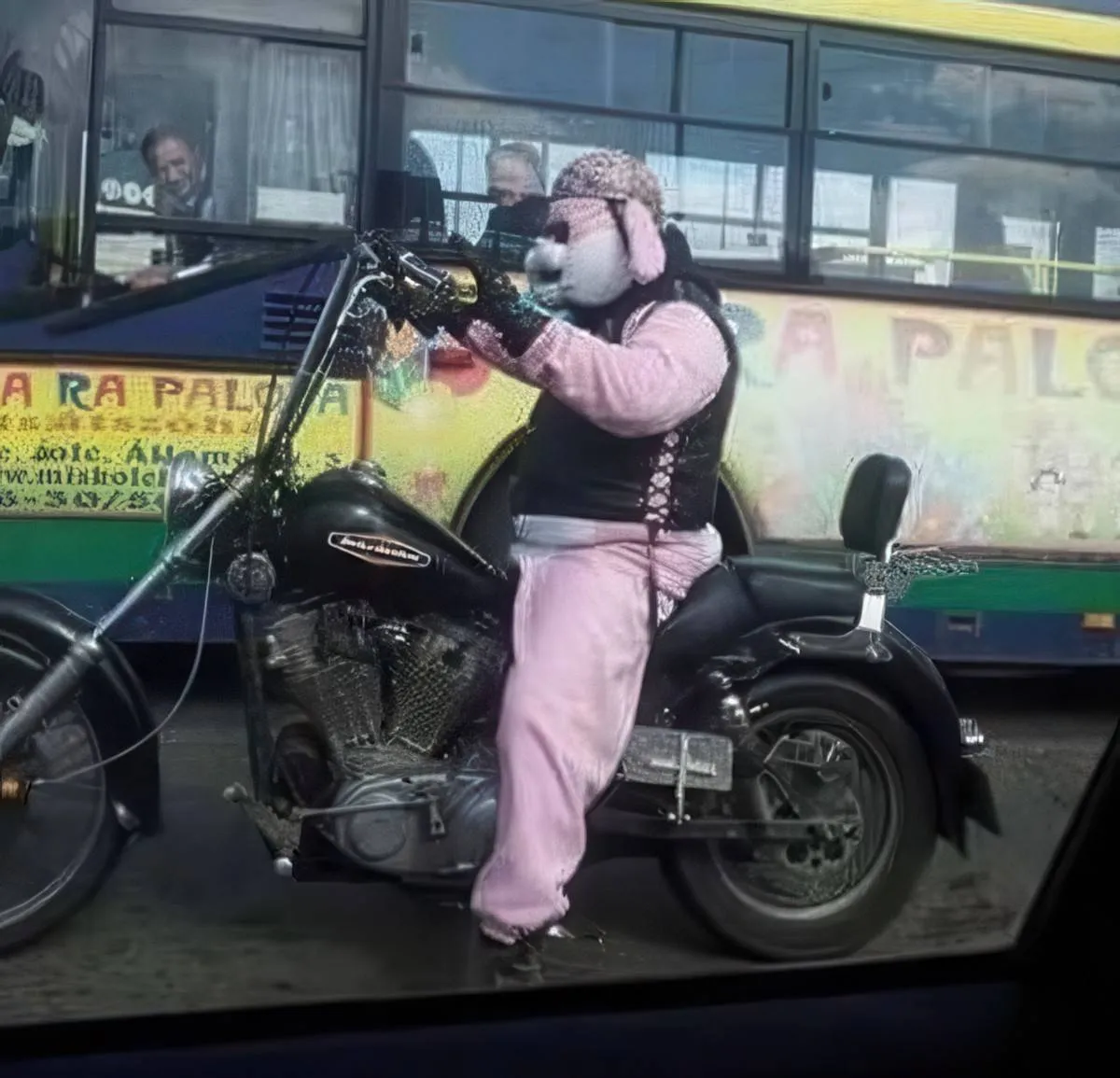 Gewoon een verzameling hilarische foto's #2074