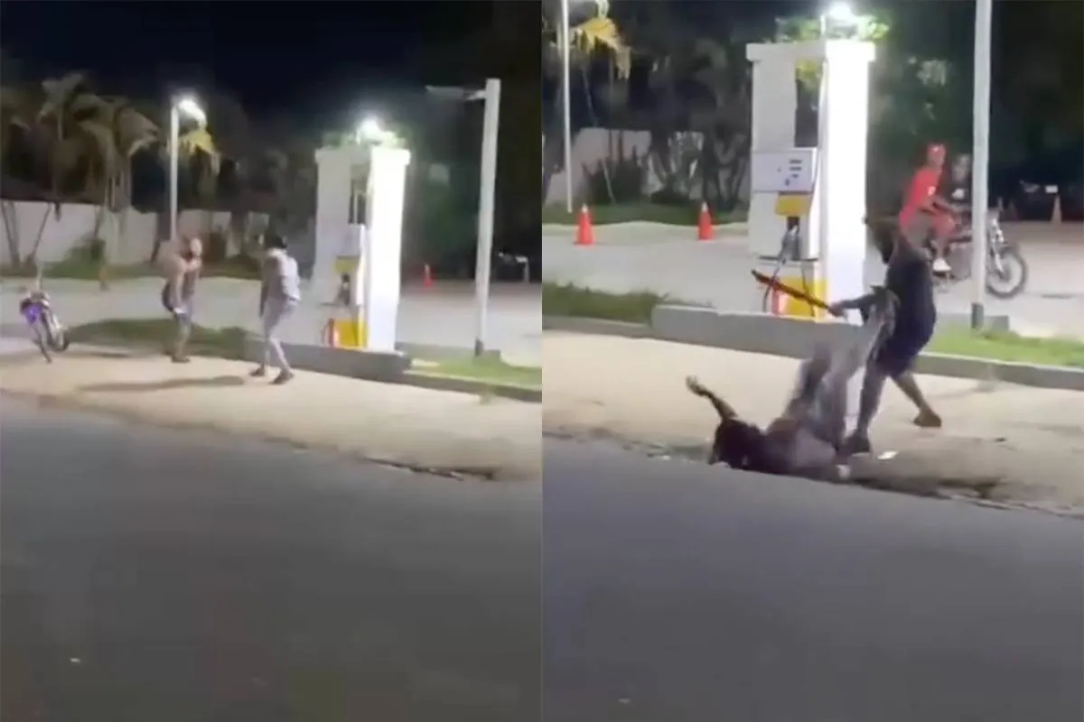 thumb vk de kans is dus zeker niet 0 dat je je hand van de grond moet rapen tijdens machete gevecht