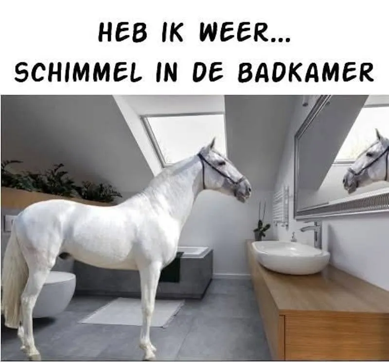 Gewoon een verzameling hilarische foto's #2083