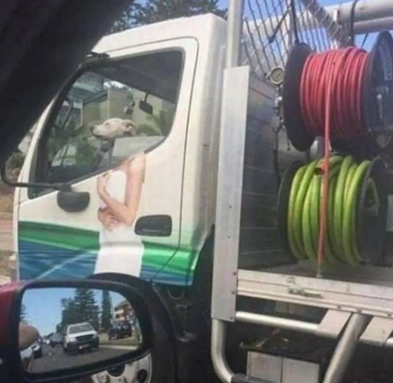 Gewoon een verzameling hilarische foto's #2083