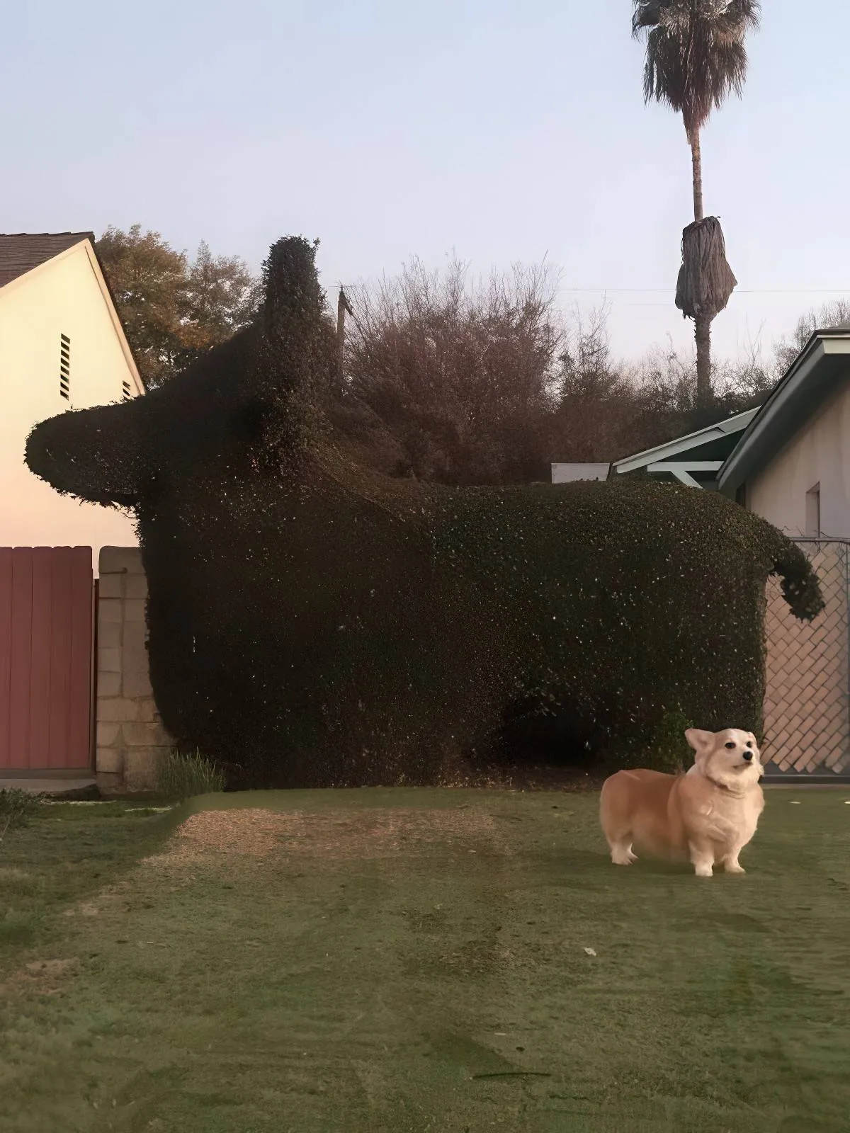 Gewoon een verzameling hilarische foto's #2075