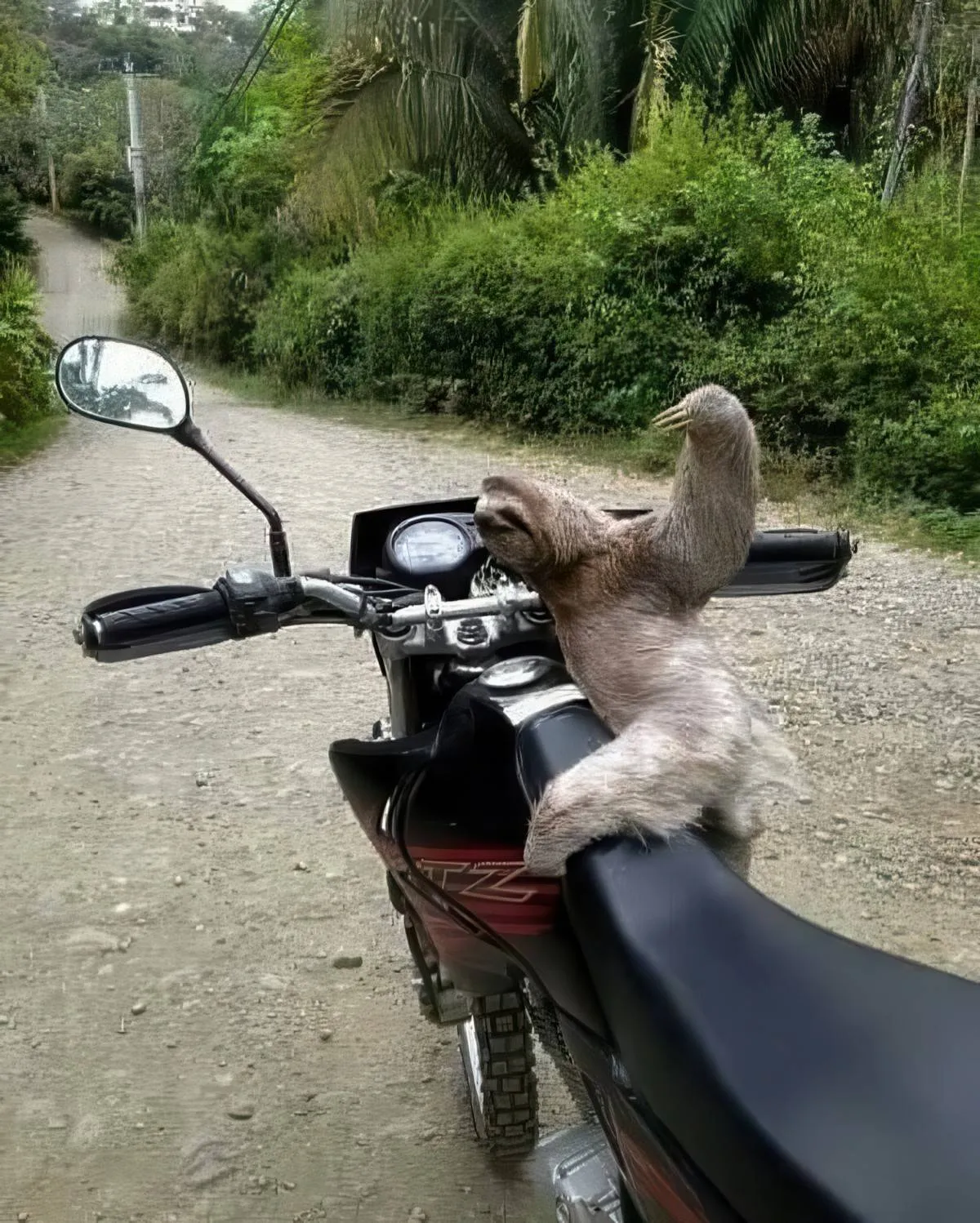Gewoon een verzameling hilarische foto's #2076
