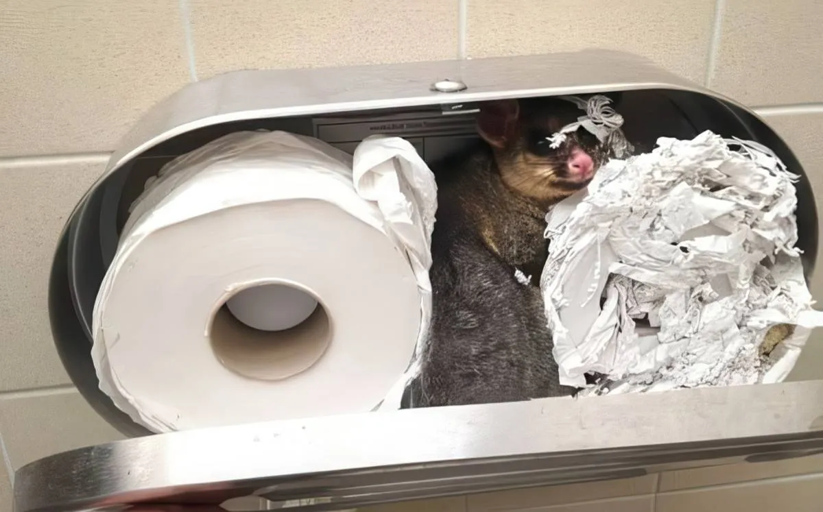 Gewoon een verzameling hilarische foto's #2077