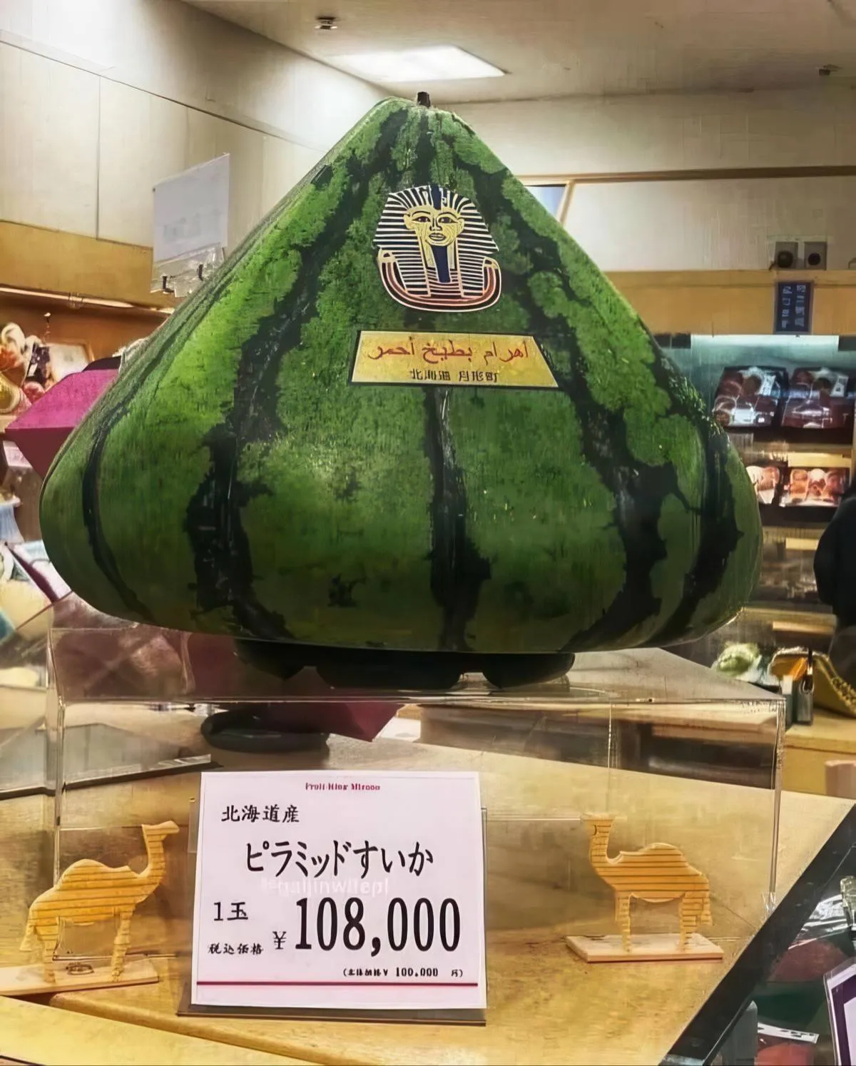 Gewoon een verzameling hilarische foto's #2078