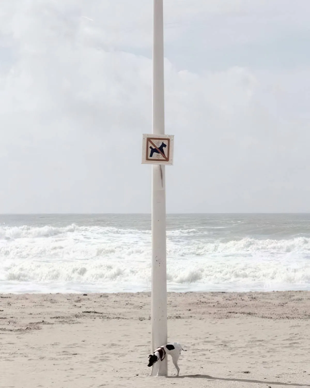 Gewoon een verzameling hilarische foto's #2078